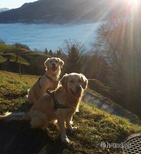 Kaya und Neo als Reporter