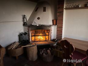 H-und.ch:Die Schweiz mit Hund erleben