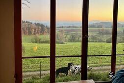 Kurztrip mit Hund bei Nomady