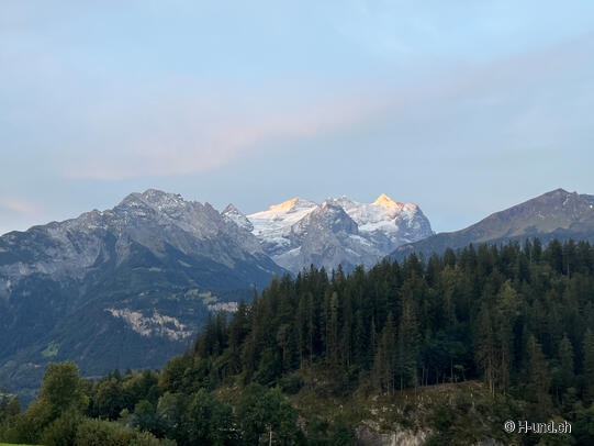 H-und.ch:Die Schweiz mit Hund erleben