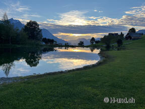 H-und.ch:Die Schweiz mit Hund erleben
