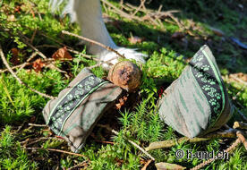 Gut getarnt erschweren die Kobolde die Suche.