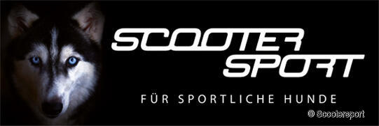 Scootersport