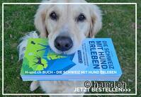 Klicke hier für weitere Infos