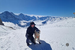 Hundebrille-ja oder nein?