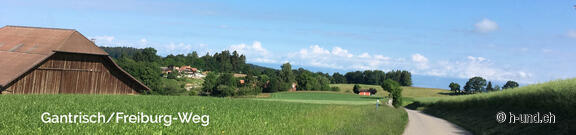 Gantrisch Freiburg: Way of St. James with dog