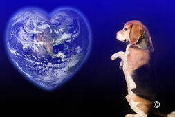 Speciale Internazionale