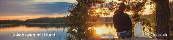 Speciale Internazionale