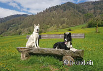 Chemin de Saint-Jacques des Grisons