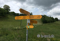 Amsoldingen Romont avec son chien