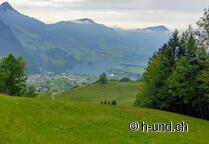Chemin de Saint-Jacques avec le chien Suisse