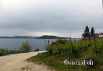 Jakbosweg avec chien, randonnée sur les trois lacs