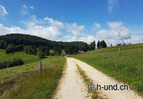 Chemin de Saint-Jacques de Bâle avec un chien