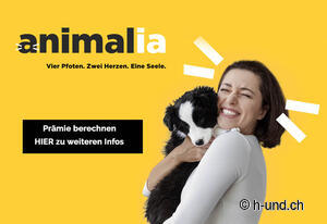 animalia assurance