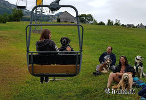 Corso di seggiovia con cane