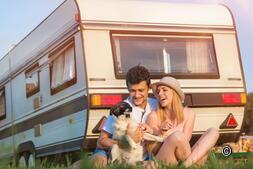 Motorhomes Switzerland:experience with dog